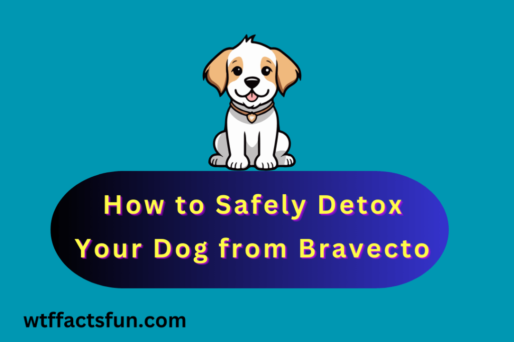 How to Safely Detox Your Dog from Bravecto