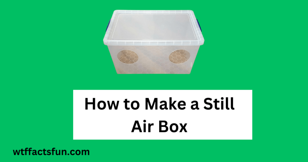 How to Make a Still Air Box