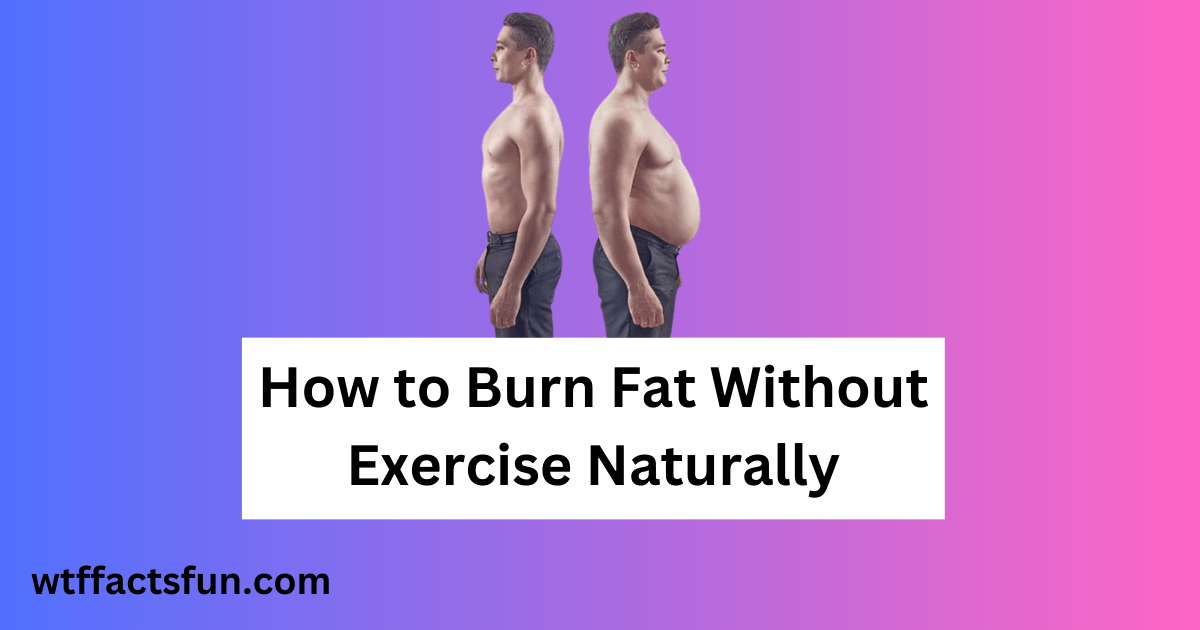 How to Burn Fat Without Exercise Naturally